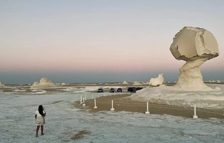 Overnight Adventure: Bahariya Oasis & Black + White Desert (2 Days/1 Night)