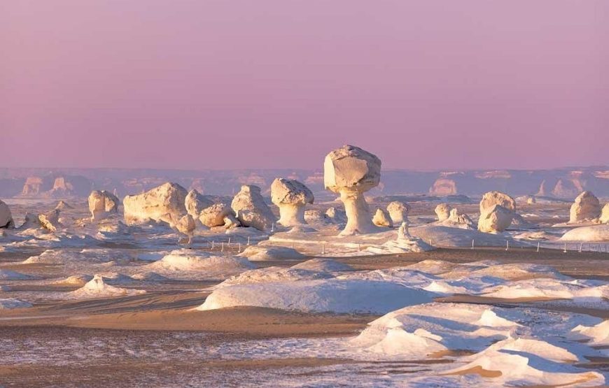 Overnight Adventure: Bahariya Oasis & Black + White Desert (2 Days/1 Night)