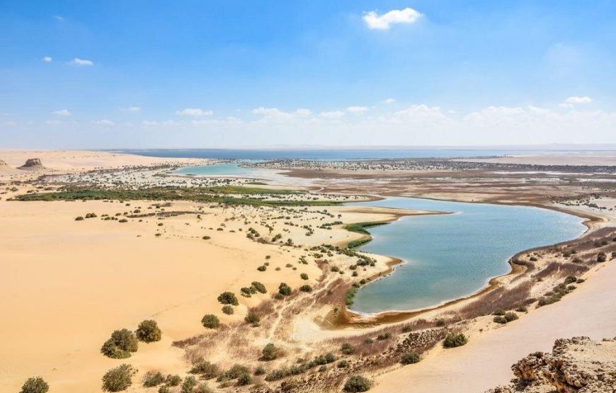 Fayoum Adventure: Whale Valley & Waterfalls Day Tour