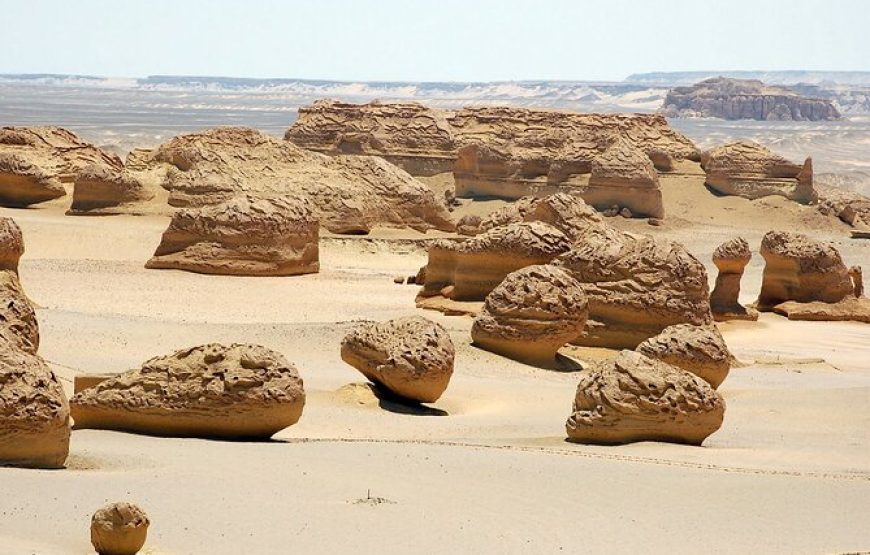 Fayoum Adventure: Whale Valley & Waterfalls Day Tour