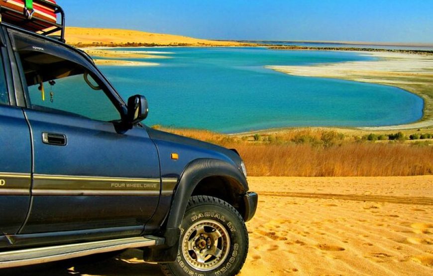 Fayoum Adventure: Whale Valley & Waterfalls Day Tour