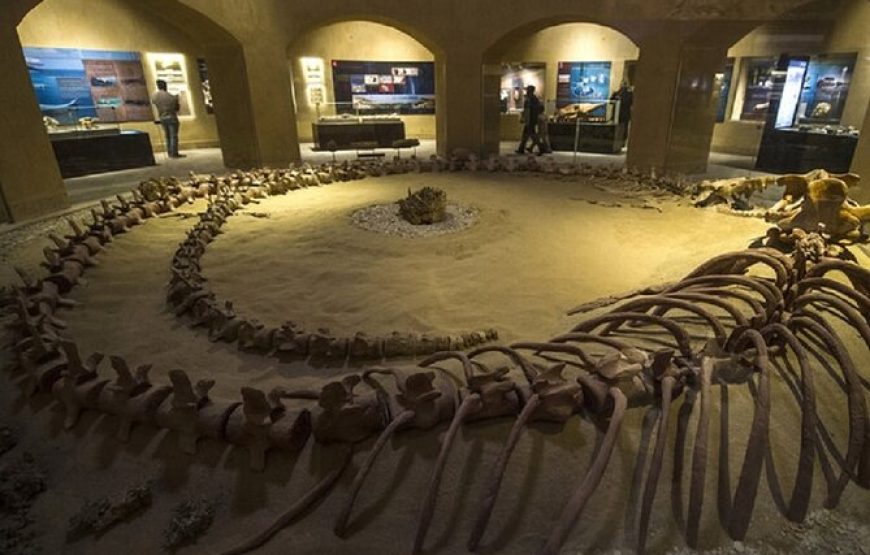 Fayoum Adventure: Whale Valley & Waterfalls Day Tour