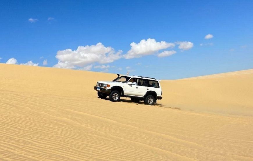 Fayoum Adventure: Whale Valley & Waterfalls Day Tour