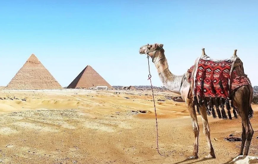 Half-Day Private Tour: Giza Pyramids, Sphinx & Camel Ride